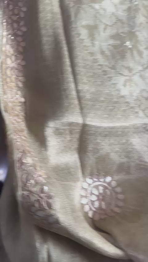 Saree video